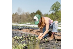 Image Woman farming on field for sustainable start-up